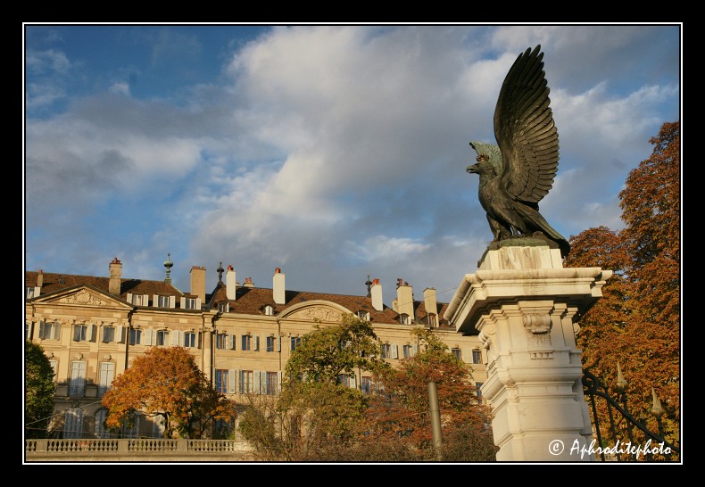 139 Immeubles surplombant la place Neuve
